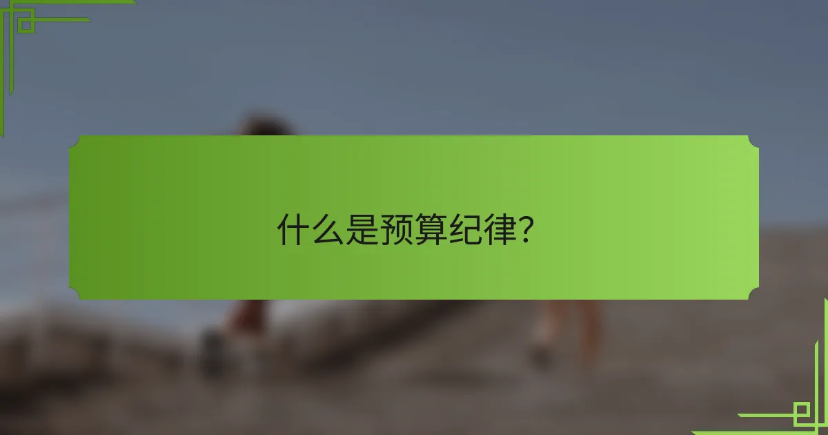 什么是预算纪律?